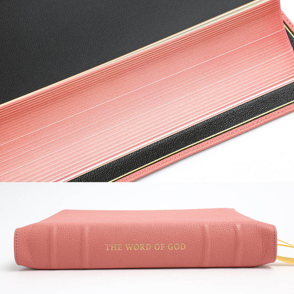 NLT SonRise - Semi Yapp - Humble Lamb