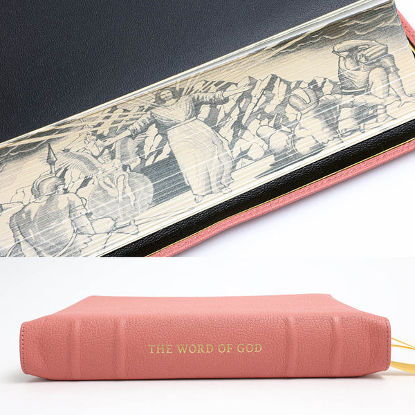 NLT SonRise - Semi Yapp - Humble Lamb