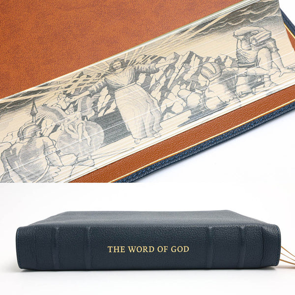 NLT SonRise - Semi Yapp - Humble Lamb