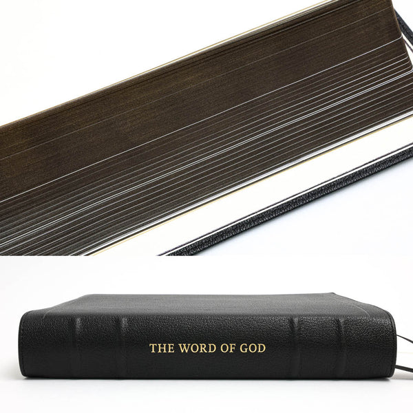 NLT SonRise - Semi Yapp - Humble Lamb