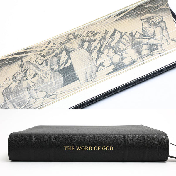 NLT SonRise - Semi Yapp - Humble Lamb