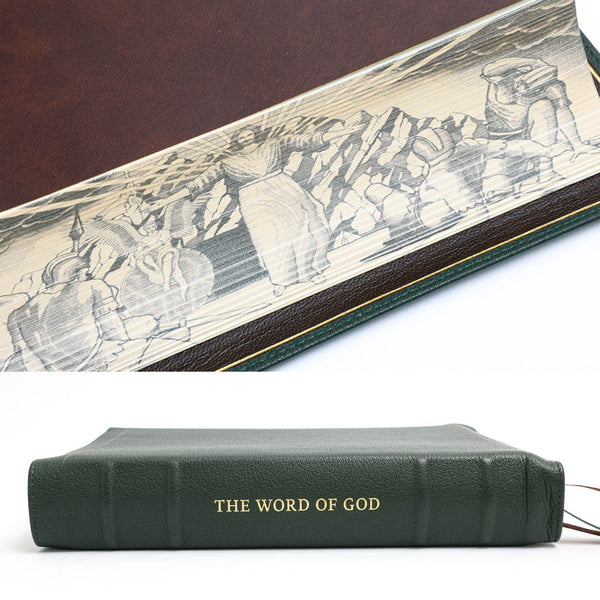 NLT SonRise - Semi Yapp - Humble Lamb