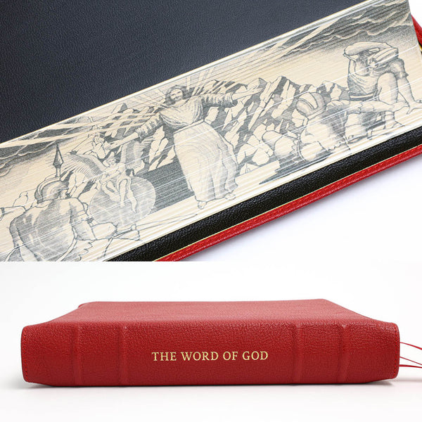 NLT SonRise - Semi Yapp - Humble Lamb