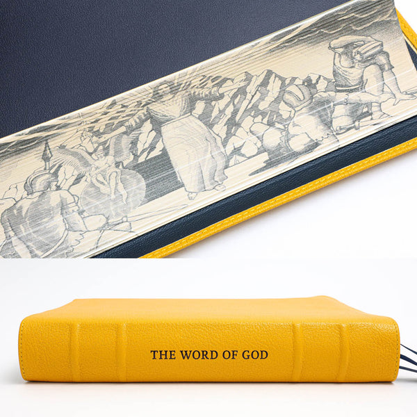 NLT SonRise - Semi Yapp - Humble Lamb