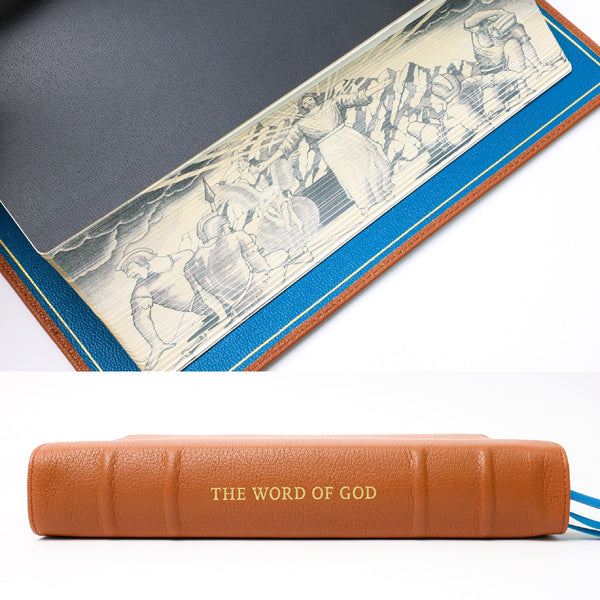 NLT Sonrise Seconds - 40% Off - Humble Lamb