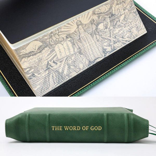 NASB HIStory - Full Yapp