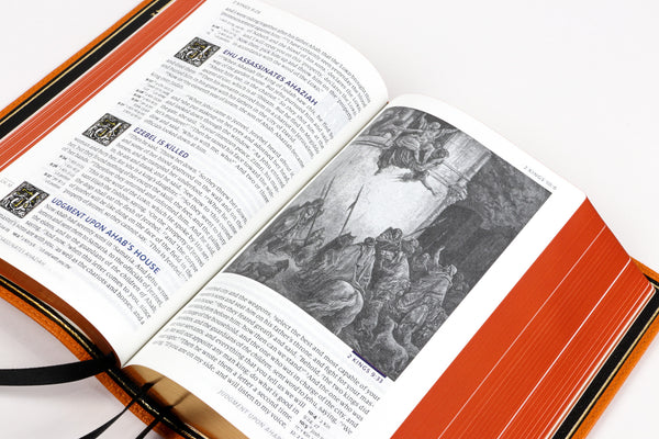 NASB History Seconds - 40% Off
