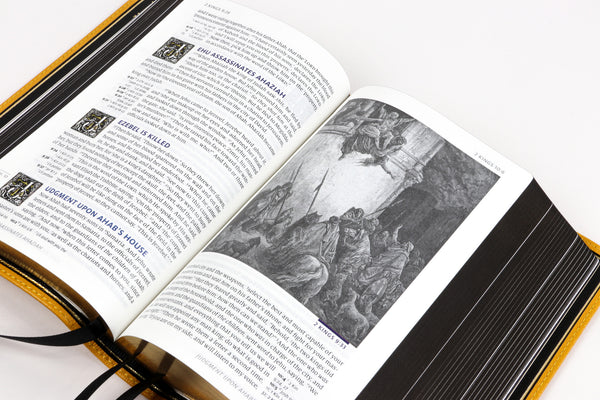 NASB History Seconds - 40% Off